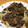 料理は苦手マミー's cooksnap of when they made 簡単！プルコギのたれ.