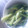 ☆しいたんママ☆'s cooksnap of when they made ☆タコときゅうりの洋風和え☆.