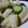 ちばたま's cooksnap of when they made ハマリます！中華風☆ピクルス.