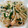 KAIMM's cooksnap of when they made もやしとニラの炒めたやつ.