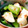 ぺっぺぺ72's cooksnap of when they made 長芋とスナップえんどうの和え物.