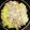 ロイザイル's cooksnap of when they made 豚しゃぶ♬野菜ときのこも♪.