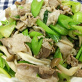 ひでなな☆'s cooksnap of when they made セロリと豚肉の香り炒め.