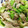 ひでなな☆'s cooksnap of when they made セロリと豚肉の香り炒め.