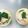 かいりっし's cooksnap of when they made レンジで簡単♬手抜き茶碗蒸し♡.