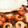 piyoko0608's cooksnap of when they made ちくわと挽き肉の簡単ジャージャー丼.
