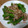 ｔａｋａｎｅ's cooksnap of when they made ししとうと豚バラのシンプル炒め.