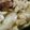 クックRWD0W9☆'s cooksnap of when they made 簡単手軽♪フライパンで濃厚ポテトグラタン.