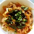 ❁みっちカ～チャン❁'s cooksnap of when they made 玉ねぎ豚丼.