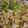 かぶるたん's cooksnap of when they made もやしのたまご焼き えのき餡かけ.