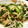 サトモユリア's cooksnap of when they made 豚バラとニラともやしの炒め物.