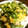 サトモユリア's cooksnap of when they made 簡単！とろとろにら玉.