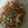 ma___111's cooksnap of when they made 桜えびと天かすのふりかけ.