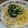 クックKBUS7N☆'s cooksnap of when they made 蟹と青梗菜のクリームスパゲティ.