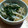 ゆるクマさん♡'s cooksnap of when they made お酢でさっぱり♪もやしと小松菜の和え物.