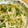 max4995's cooksnap of when they made もやしと空芯菜の新芽の胡麻和え.