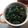 プーちゃんちゃん's cooksnap of when they made 葉玉ねぎの葉だけ炒め。.