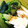 ぺっぺぺ72's cooksnap of when they made 長芋ときゅうりの梅肉ソースがけ.
