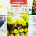 BLooMINs's cooksnap of when they made 毎年恒例☆定番梅酒と変わり種梅酒.