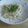 ひーちゃんママ♪'s cooksnap of when they made アンチョビとモヤシの混ぜるだけサラダ.
