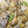 sacha007's cooksnap of when they made アサリのバターしょうゆ.