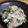 ☆☆ハルちゃん！☆☆'s cooksnap of when they made あじのなめろう＊＊.