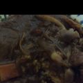 tyanncyonn's cooksnap of when they made ハヤシライス☆新玉ねぎで.