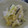 ニャンコロブー's cooksnap of when they made おばあちゃん直伝、簡単白菜の漬け物.