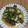 めると。's cooksnap of when they made 大根菜とこんにゃくの味噌炒め.