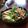 cocoりえ's cooksnap of when they made 三つ葉のたまご焼き.