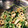 Ponta2777's cooksnap of when they made 水菜としいたけのゴマ和え.