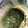 take2toshi's cooksnap of when they made ジェノベーゼ万能ソース(バジルソース).