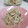 ＃Yuzu＃'s cooksnap of when they made 蓮根とごぼうのマヨ胡麻和え☆.