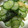 だれんしゃん's cooksnap of when they made きゅうりとにらの酢の物.