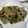 natico's cooksnap of when they made エノキと万能ネギのおやき.