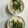おりいぶ♪'s cooksnap of when they made 大人の夏の♪みょうがご飯.