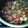 gojira_minira's cooksnap of when they made 肉団子と里芋のこってり煮　.