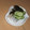 きらり流れ星's cooksnap of when they made 生姜でさっぱり〆さばの酢の物.
