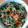 ﹙pさとq∀｀）'s cooksnap of when they made 豆苗で☆豚肉のオイスターソース炒め.