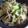 ｋｕｍｉｔｙ's cooksnap of when they made もやしとキャベツの炒め物.