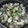 サーフブレイド's cooksnap of when they made あさりのバター酒蒸し.