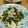 ぐりんぶー♪'s cooksnap of when they made 水切り不要！豆腐で簡単☆ニラの卵とじ.