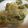 ラクラクダ's cooksnap of when they made 金麦のCMのそら豆のかき揚げ作ってみたぁ.