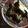 タイガーりり's cooksnap of when they made 黒豆寒天.