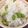 ユウマロ's cooksnap of when they made 枝豆ご飯.