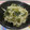 もぐまに's cooksnap of when they made ✿もやしとワカメのさっと炒め✿簡単✿.