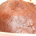 レモンティ★'s cooksnap of when they made 電子レンジ２分！簡単チョコケーキ.