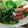 かじゅんじゅんNH's cooksnap of when they made 水菜の生ハム巻き.