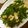 ばるさもす's cooksnap of when they made ピーマンのあっさりさっぱり煮.
