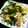 ゆざく's cooksnap of when they made かぶとエリンギのにんにく炒め.